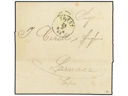 116 AUSTRIA. 1885 (Feb 24). Entire Letter At Printed Matter Rate To CYPRUS Bearing 1883 <B>3kr.</B> Green Tied By <B>TRI - Otros & Sin Clasificación