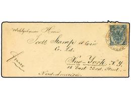 380 BOSNIA-HERZEGOVINA. 1896. Cover To Scott Stamp & Coin In NEW YORK Franked By 1891 Litho <B>10 K.</B> Greyish Blue, P - Sonstige & Ohne Zuordnung