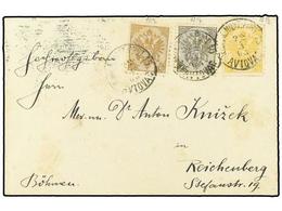 388 BOSNIA-HERZEGOVINA. 1903 (March 22). Three Colour Franking Cover To REICHENBERG Bearing 1900 <B>1h.</B> Grey Black,  - Other & Unclassified