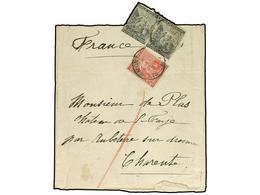 2663 CABO DE BUENA ESPERANZA. 1882. Newspaper Wrapper To FRANCE Franked By 1882 Pair Of <B>1/2 D.</B> Grey Black And <B> - Otros & Sin Clasificación