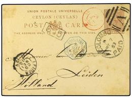 2781 CEILAN. 1883. Postal Stationary Card<B> 8 Cents</B> Brown Cancelled By <B>COLOMBO PAID </B>duplex Addressed To Holl - Other & Unclassified