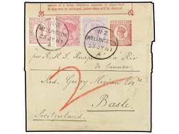 3099 NUEVA ZELANDA. 1887 (July 23). <B>½d.</B> Red On Buff Postal Stationery Newspaper Wrapper, Used To BASEL (Switzerla - Andere & Zonder Classificatie