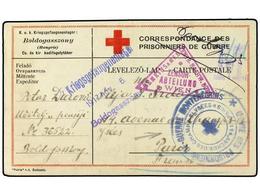 4184 MONTENEGRO. 1917. Prisoner Of War Red Cross Card Written From MONTENEGRIER Prisoner In P.O.W. Camp Boldogasszony, H - Sonstige & Ohne Zuordnung