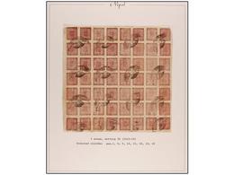 4224 ° NEPAL. Mi.29 (56). 1922-25. <B>2 Annas</B> Lilac Rose, Setting 26. Complete Sheet Of 56 Stamps, Inverted Cliche P - Sonstige & Ohne Zuordnung