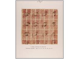 4224 ° NEPAL. Mi.29 (56). 1922-25. <B>2 Annas</B> Lilac Rose, Setting 26. Complete Sheet Of 56 Stamps, Inverted Cliche P - Other & Unclassified