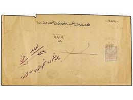 5438 TURQUIA. 1884. Registered Cover Bearing <B>2 Piastras</B> Stamp Tied By Bilingual <B>BACHKALE</B> Cancellations To  - Otros & Sin Clasificación