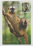 Madagascar Madagaskar 2015 Mi. 2685 Carte Maximum Lémurien Lemur Propithecus Candidus Faune Fauna - Scimmie