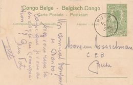 Congo Belge Entier Postal Illustré 1917 - Postwaardestukken