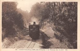 17-SAINT-PALAIS-SUR-MER- LE TRAMWAY DANS LA FORÊT - Saint-Palais-sur-Mer