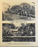 CAMEROUN - N°240 Transports En Afrique Centrale - Collection "Pour L'Enseignement Vivant" - Colonies Françaises - TBE - Collezioni