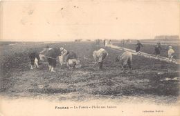 17-FOURAS-LES-BAINS- LA FUMEE- PÊCHE AUX HUITRES - Fouras-les-Bains