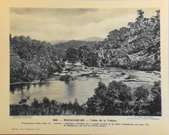 MADAGASCAR - N°266 Vallée De La VOHITRA - Collection "Pour L'Enseignement Vivant" - Colonies Françaises - TBE - Collections