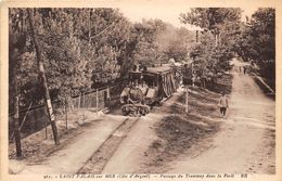 17-SAINT-PALAIS- SUR-MER- PASSAGE DU TRAMWAY DANS LA FORÊT - Saint-Palais-sur-Mer