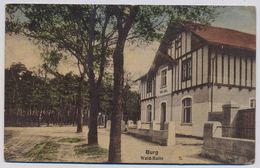 Burg, Restaurant - Café Zur Wald-Halle Von Rudolf Kindel    About 1920y.  E386 - Burg