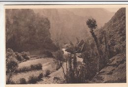 Cp , 48 , GORGES Du TARN , Le Pas De Souci Où Le Tarn Se Perd Dans Un Chaos Cyclopéen De Rocs éboulés Barrant La Vallée - Gorges Du Tarn