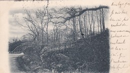 BURNLEY / RUSTIC BRIDGE / CIRC 1903 - Other & Unclassified