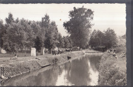 °°°°°  45 CHATILLON COLIGNY  . La Lancière Et Plage  °°°°°  ////   REF.  JUILLET 18  /  BO. 45 - Chatillon Coligny