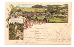 0-6000 SUHL, Litho, 1899, Gruss Vom Ottilienstein - Suhl