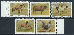 South Africa 1991 - Animal Breeding In South Africa SG724-728 MNH Cat £4.25 SG2015 - Nuevos
