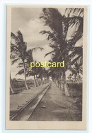Delcampe - BEIRA - ENTERING MANGA , MOZAMBIQUE. OLD POSTCARD C.1920 #804. - Mosambik