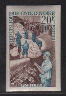 Cote D Ivoire - N°272 Non Dentele ** - Ficellerie - Ivory Coast (1960-...)