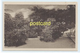 Delcampe - BEIRA - LUIZ IGNACIO PARK , MOZAMBIQUE. OLD POSTCARD C.1920 #807. - Mosambik