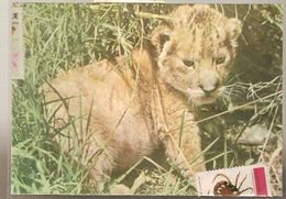 Delcampe - Mozambique & Circulated, African Fauna,  Lion, Lisbon 1980 (7797) - Mosambik
