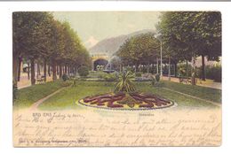 Delcampe - 5427 BAD EMS, Unterallee, 1903, Verlag Boogaart Wiesbaden, Color - Bad Ems