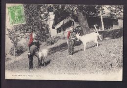 Delcampe - CPA SUISSE - CHAMPERY - A Champéry - TB PLAN Petits Bergers Chèvres TB ANIMATION + Chalet + Oblitération Recto Verso - Champéry