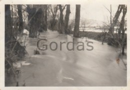 Delcampe - Germany - Saale - Naumburg - Hoch Wasser - Photo 95x65mm - Burgenland