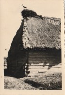 Delcampe - Moldova - Bessarabia - East Front WW2 - Photo 85x60mm - Moldawien (Moldova)