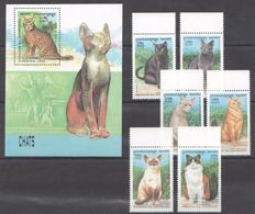 LSJP 1999 DU CAMBODGE PETS CATS CHATS 1BL+1SET MNH - Motorbikes