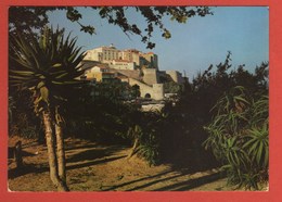 Delcampe - CP 20B CALVI 1190     Année 1982 - Calvi