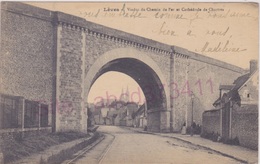 Delcampe - LEVES   Viaduc Du Chemin De Fer Et Cathédrale De Chartres - Lèves