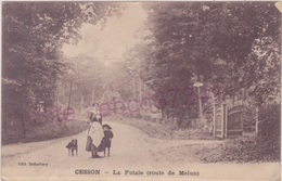 Delcampe - CESSON   La Futaie (route De Melun) - Cesson