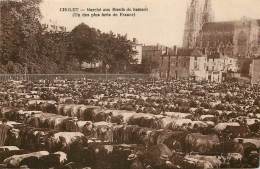 Delcampe - CHOLET - Marché Aux Boeufs Du Samedi - Cholet