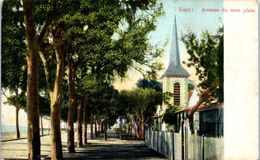 Delcampe - AFRIQUE -- EGYPTE - SUEZ - Avenue Du Terre Plein - Sues