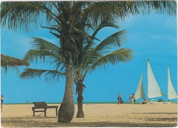 Delcampe - Aruba - Palm Trees, Beaches And Sailighin Aruba   - (Netherlands Antilles) - Aruba
