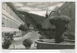 Delcampe - Bad Teinach - Foto-AK - Bad Teinach