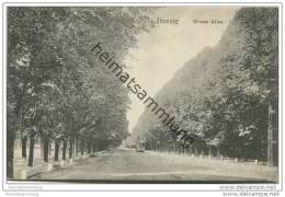 Delcampe - Danzig - Grosse Allee Ca. 1910 - Danzig