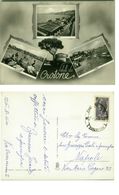Delcampe - CROTONE - SALUTI / VEDUTINE - ED. MUOLO & CLAUSI - 1960 (2384) - Crotone