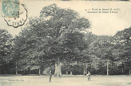 Delcampe - -dpts Div.-ref-AB325- Essonne - Senart - Foret - Carrefour Du Chêne D Antin - Chênes - Arbre - Arbres - - Sénart