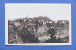 Delcampe - Cartolina Tigliole - Panorama - 1920 Ca. - Asti