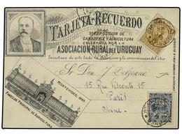 5642 URUGUAY. Sc.108, 110. 1896. Delightful Illustrated Advertising Card For The 'Asociacion Rural De Uruguay' Franked B - Other & Unclassified