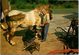 Delcampe - Chevaux - HIppisme - Ajuster Et Fixer Les Fers Aux Sabots Des Chevaux (Métier : Maréchal Ferrant) - Reitsport