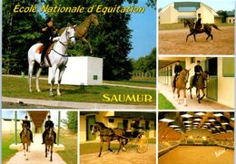 Delcampe - Chevaux - HIppisme - Ecole Nationale D'équitation - Saumur - Reitsport
