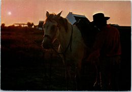 Delcampe - Chevaux - HIppisme -Cheval -  L'isle Sur La Sorgue Année 1970 - Reitsport