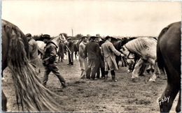 Delcampe - Chevaux - HIppisme - La Foire Aux Chevaux - LESSAY - Grande Foire Sainte Croix - Reitsport