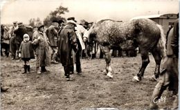 Delcampe - Chevaux - HIppisme - La Foire Aux Chevaux - LESSAY - Grande Foire Sainte Croix N°14 - Reitsport