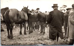 Delcampe - Chevaux - HIppisme - La Foire Aux Chevaux - LESSAY - Grande Foire Sainte Croix N°15 - Reitsport
